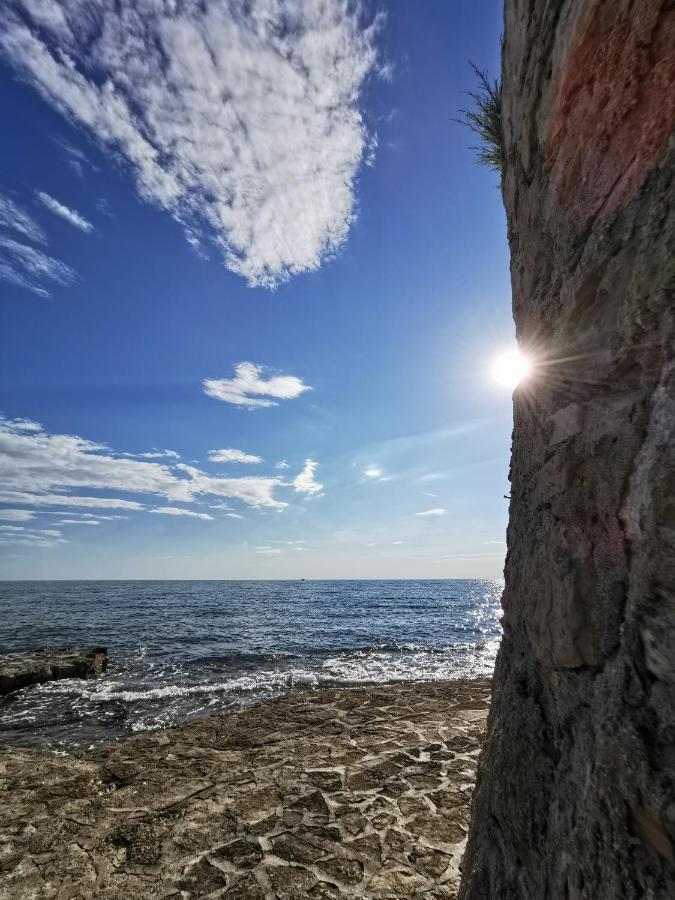 Lara Deluxe Superior 5 Star Apartment, Your Piece Of Heaven By The Sea & Park Novigrad Istria Kültér fotó
